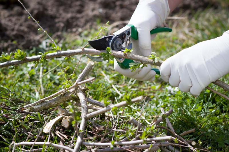 Outils pour le jardin, Marsac-sur-l'Isle