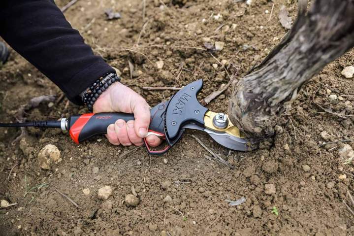 Spécialiste entretien arbres Marsac-sur-l’Isle