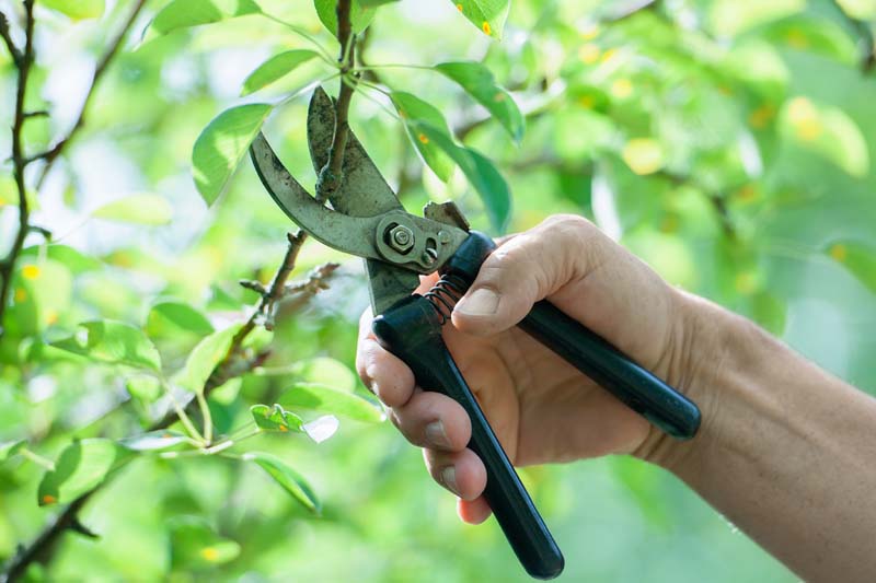 Outil de jardinage, Coulounieix-Chamiers